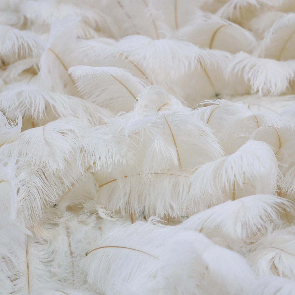 Flowerva Bohemian-Inspired White Feather Flower Wall for Wedding Backdrops