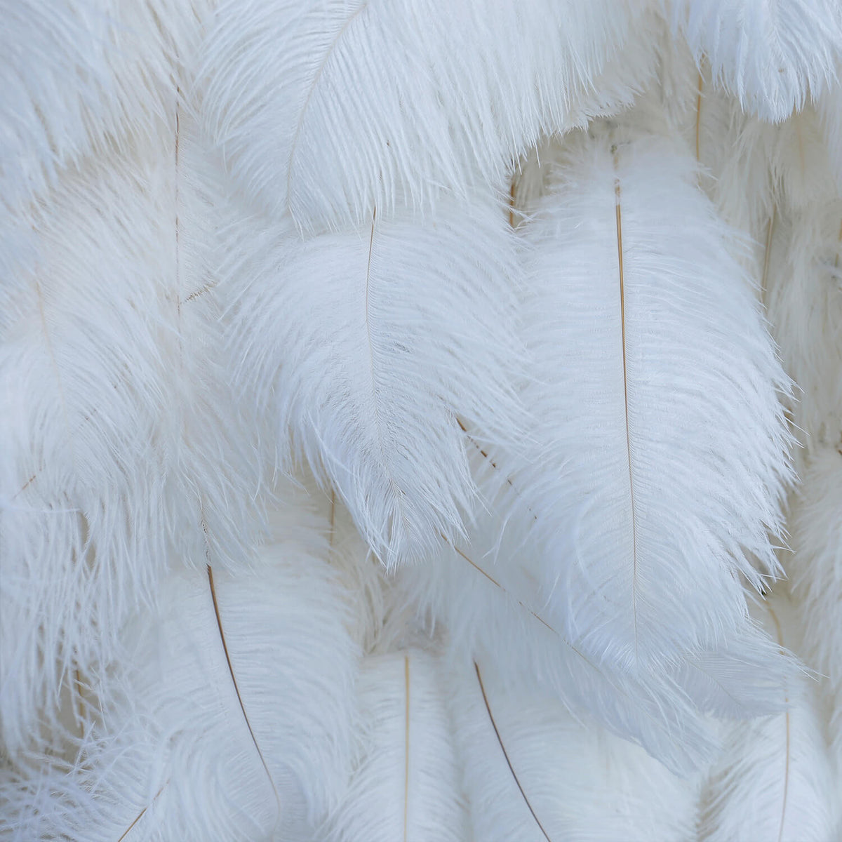 Flowerva Bohemian-Inspired White Feather Flower Wall for Wedding Backdrops