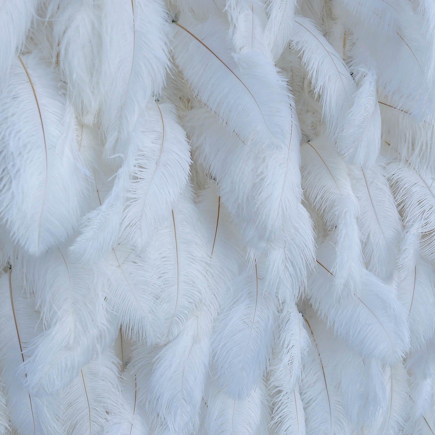 Flowerva Bohemian-Inspired White Feather Flower Wall for Wedding Backdrops
