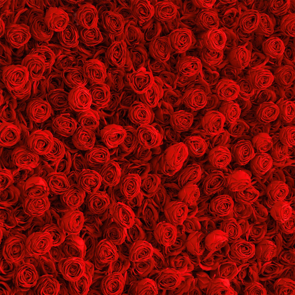 Flowerva Exquisite Elegant Red Floral Wedding Floral Wall Scene Wall Decor