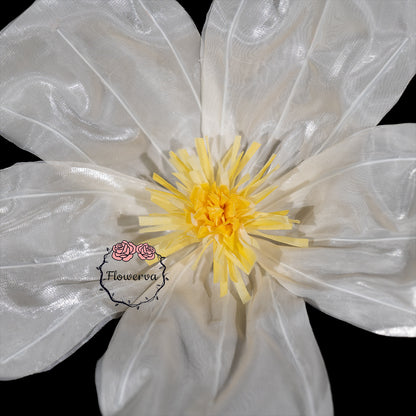 Flowerva Sheer Fabric White Daisy Decor